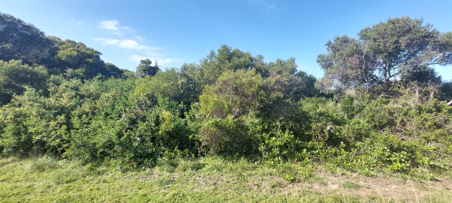 0 Bedroom Property for Sale in Paradise Beach Eastern Cape